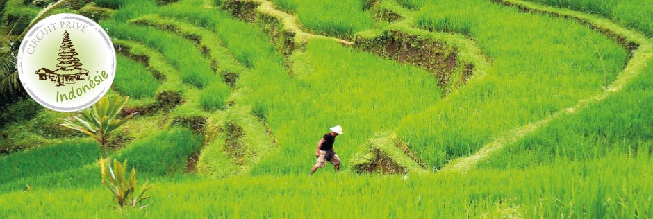 ciruit prive a bali indonesie