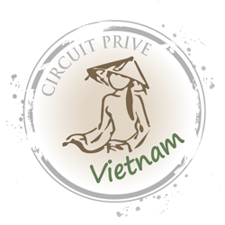 logo vietnam